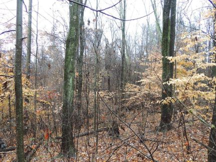 Timberland Property in Guernsey County, Ohio