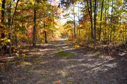 Farm and Ranch in Saint Francois County, Missouri