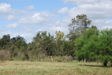 Farm and Ranch in Colorado County, Texas