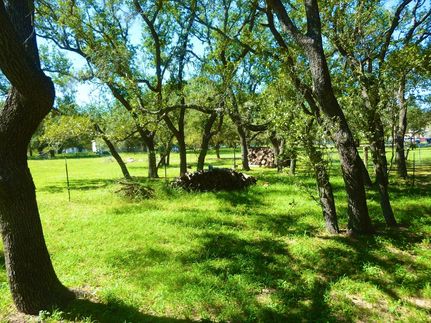 Farm and Ranch in Atascosa County, Texas