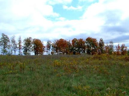 Homesite in Antrim County, Michigan