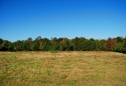 Timberland Property in Spartanburg County, South Carolina