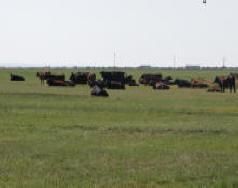 Land in Harney County, Oregon