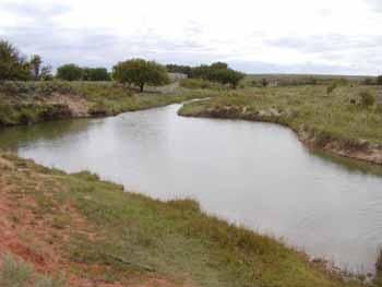 Timberland Property in Lipscomb County, Texas