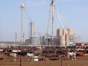 Land in Castro County, Texas