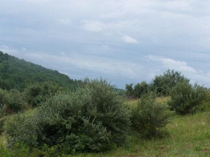 Land in Carroll County, Virginia