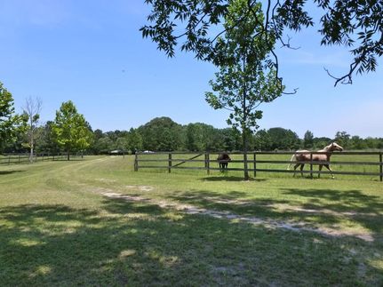 Farm and Ranch in Evans County, Georgia