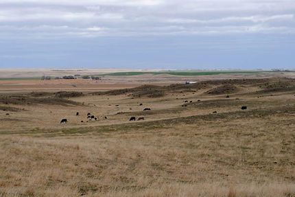 Farm and Ranch in Goshen County, Wyoming