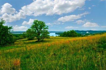Farm and Ranch in Pike County, Missouri