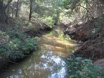 Recreational Property in Freestone County, Texas