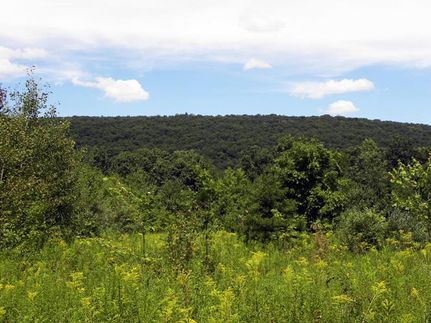 Farm and Ranch in Luzerne County, Pennsylvania