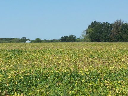 Farm and Ranch in Monroe County, Missouri