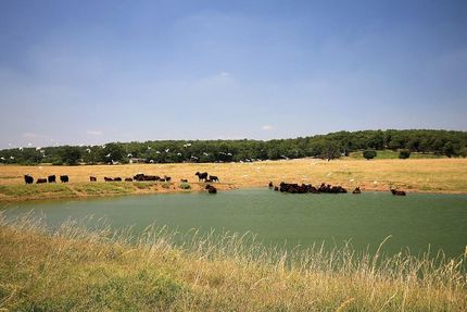 Timberland Property in Delaware County, Oklahoma