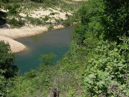 Timberland Property in Ozark County, Missouri