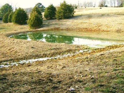 Land in Douglas County, Missouri