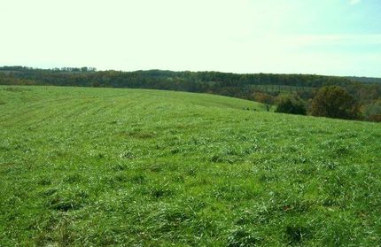 Farm and Ranch in Ozark County, Missouri