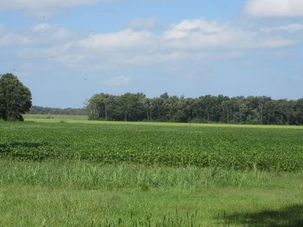 Farm and Ranch in Tallahatchie County, Mississippi