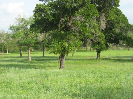 Farm and Ranch in Gonzales County, Texas