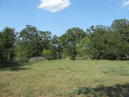 Farm and Ranch in Guadalupe County, Texas