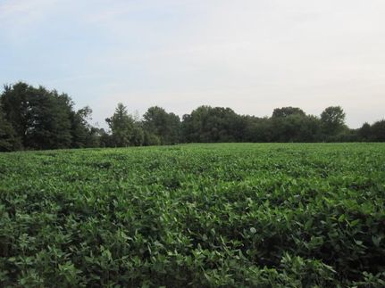 Farm and Ranch in Marshall County, Mississippi