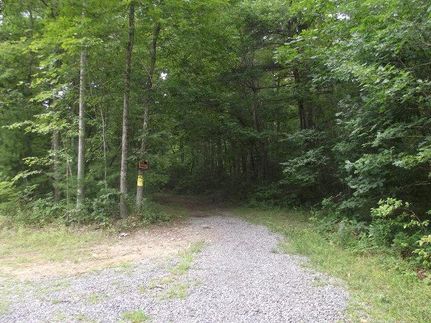 Timberland Property in Bland County, Virginia
