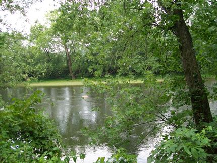 Riverfront Property in Hampshire County, West Virginia