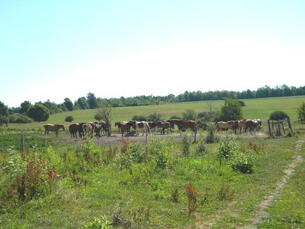 Farm and Ranch in Onondaga County, New York