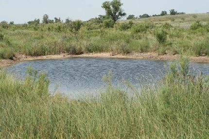 Land in Collingsworth County, Texas