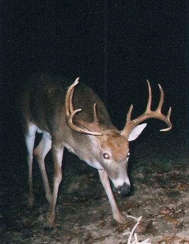 Land in Saint Clair County, Missouri