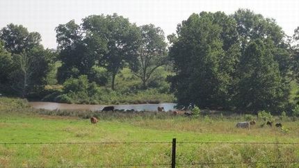 Land in Saint Clair County, Missouri
