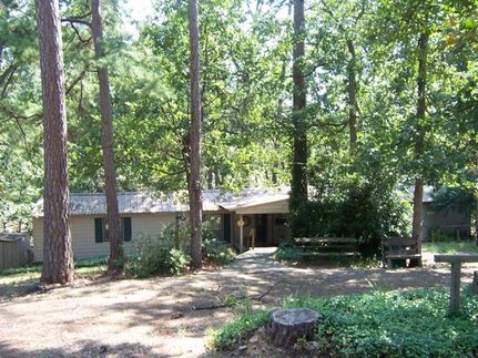 Undeveloped Land in Camp County, Texas