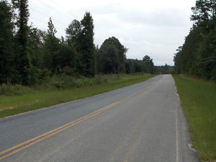 Farm and Ranch in Wayne County, Georgia