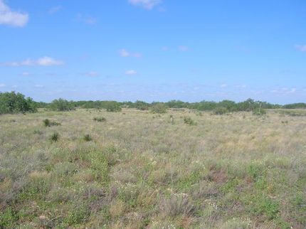 Farm and Ranch in Zapata County, Texas