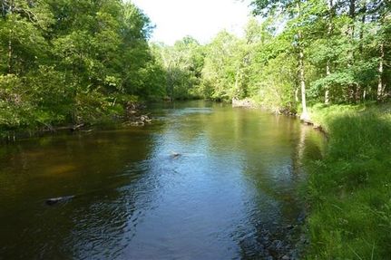 Recreational Property in Newaygo County, Michigan