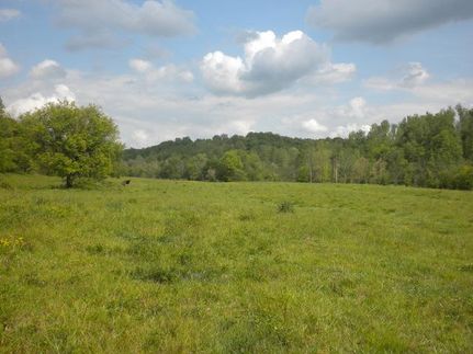 Farm and Ranch in Giles County, Tennessee