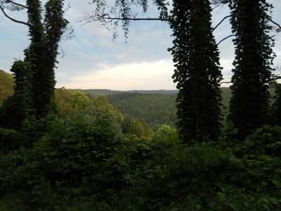 Farm and Ranch in Marion County, Alabama