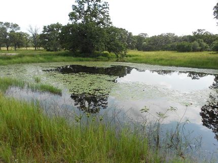 Farm and Ranch in Colorado County, Texas