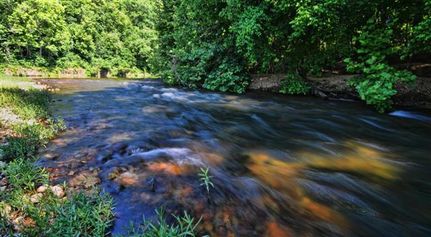 Recreational Property in Ozark County, Missouri