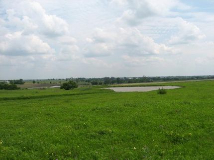Farm and Ranch in Grimes County, Texas