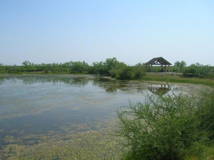 Farm and Ranch in Webb County, Texas