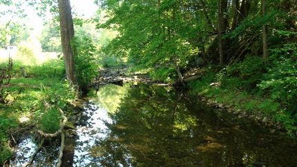 Recreational Property in Houston County, Tennessee