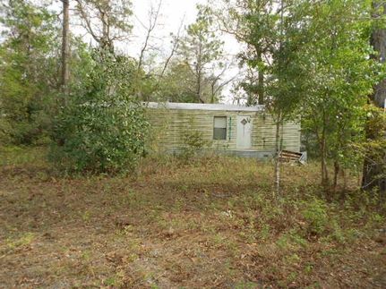 Farm and Ranch in Dixie County, Florida