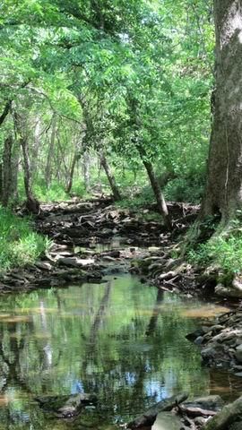 Farm and Ranch in Barton County, Missouri