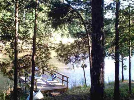 Undeveloped Land in Camp County, Texas