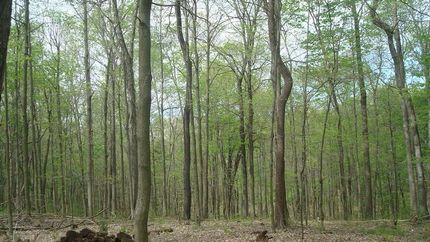 Farm and Ranch in Ross County, Ohio