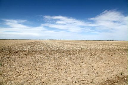 Farm and Ranch in Prowers County, Colorado