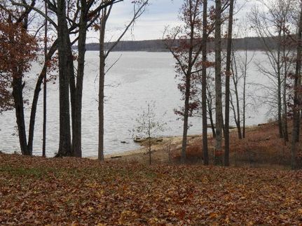 Undeveloped Land in Mecklenburg County, Virginia