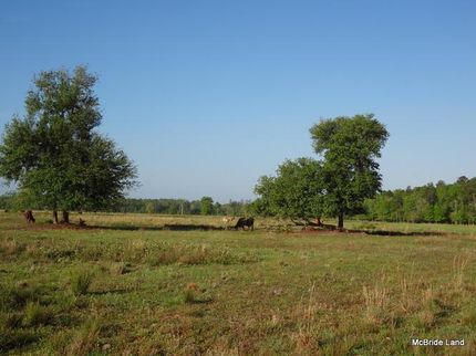 Farm and Ranch in Putnam County, Florida