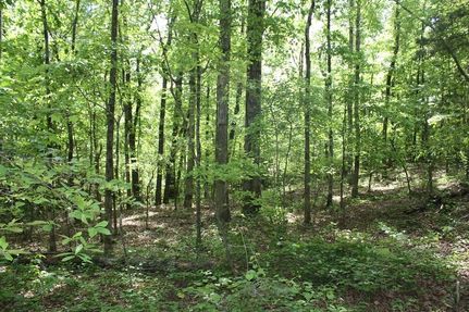 Farm and Ranch in Marshall County, Mississippi