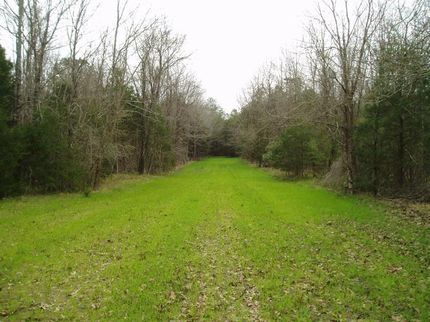 Farm and Ranch in Sumter County, Alabama